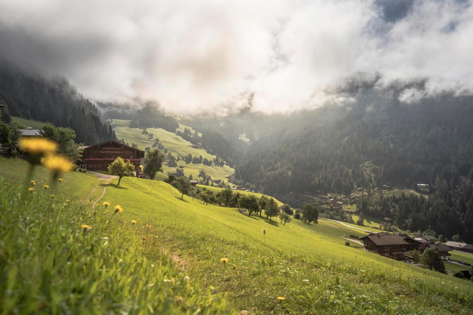Alpapart Schneider * Alpbach